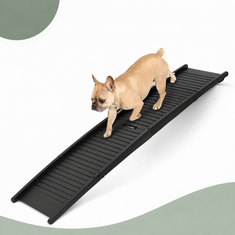 Rampe Pliable Anti-Derapante "PAWSTEUR StepSafe"