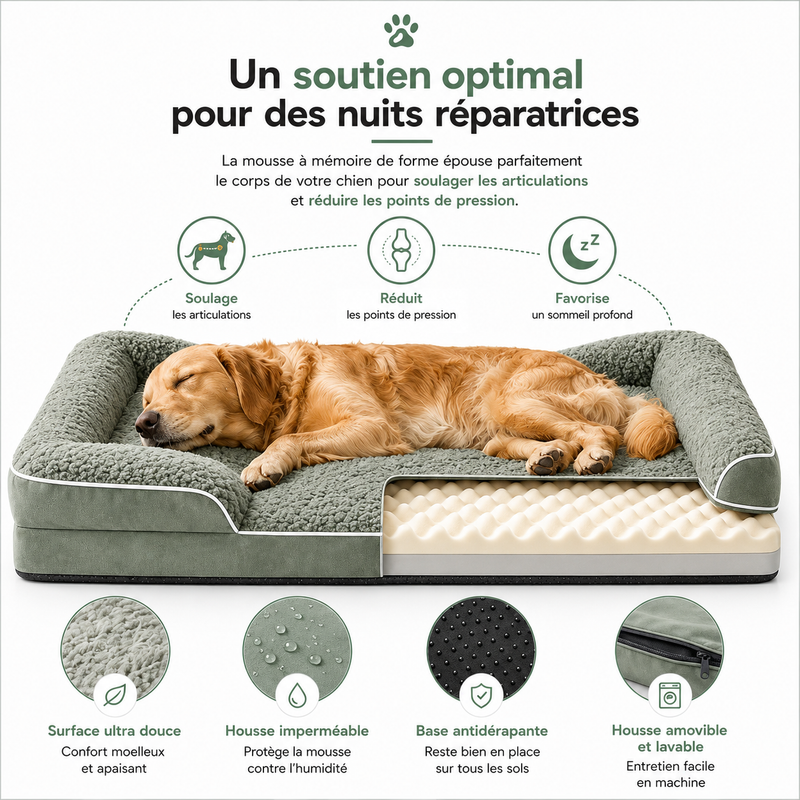 Lit Orthopedique a memoire de forme PAWSTEUR OrthoRest