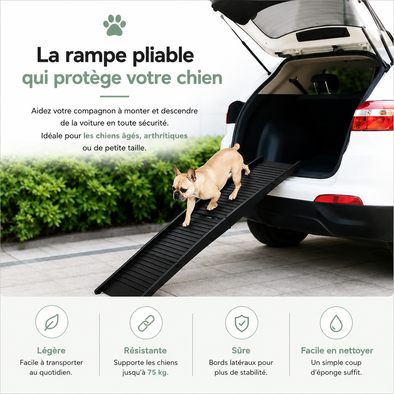 Rampe Pliable Anti-Derapante "PAWSTEUR StepSafe"