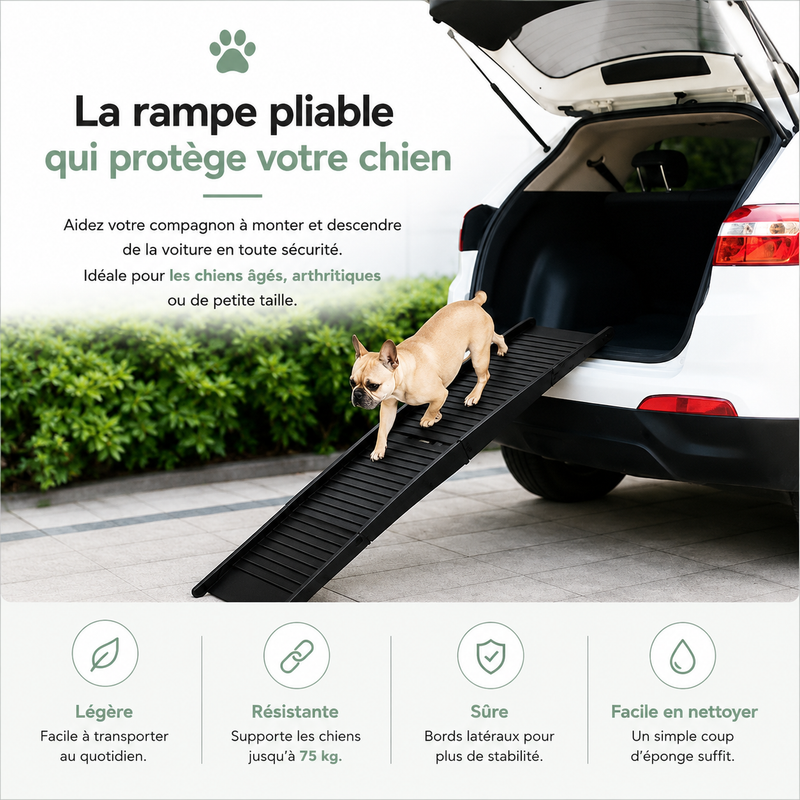 Rampe Pliable Anti-Derapante "PAWSTEUR StepSafe"