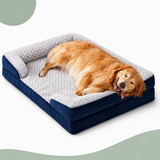 Lit Orthopedique a memoire de forme PAWSTEUR OrthoRest